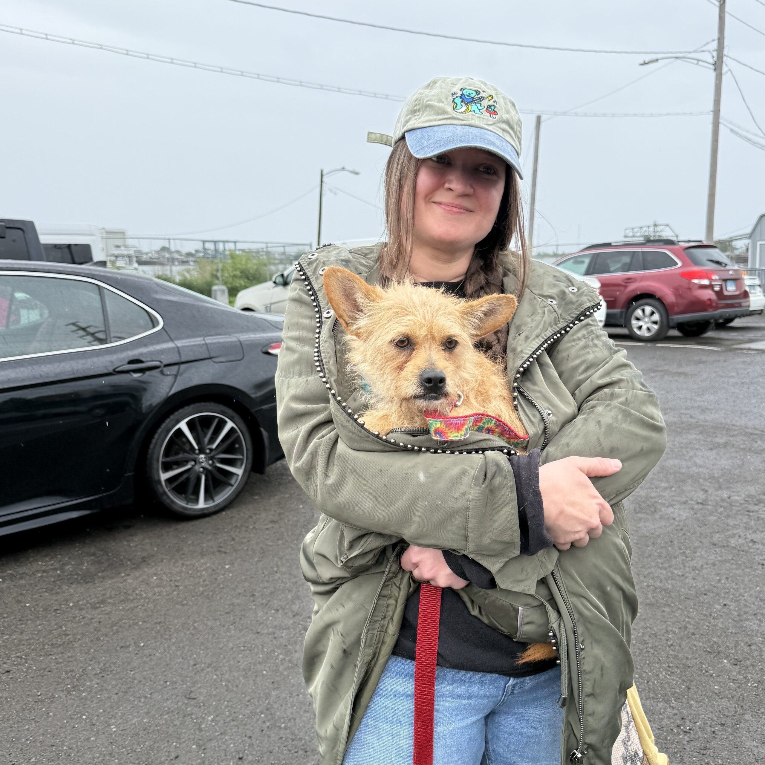 Animals rescued by Whiskers Are We