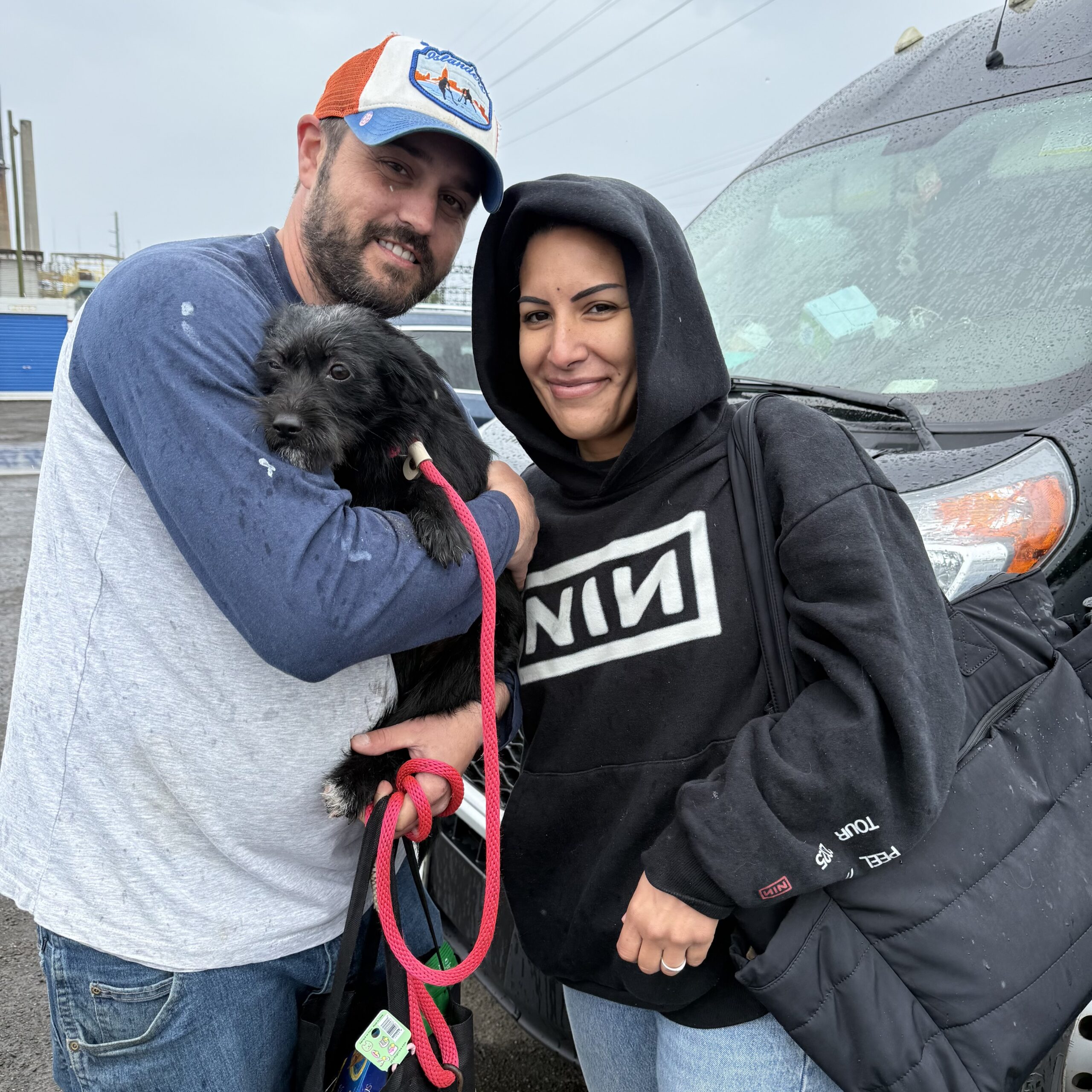 Happy animals in foster care